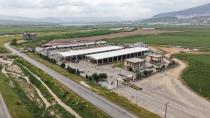Canlı Hayvan Borsası'nda Kurbanlık Satışları Başlıyor